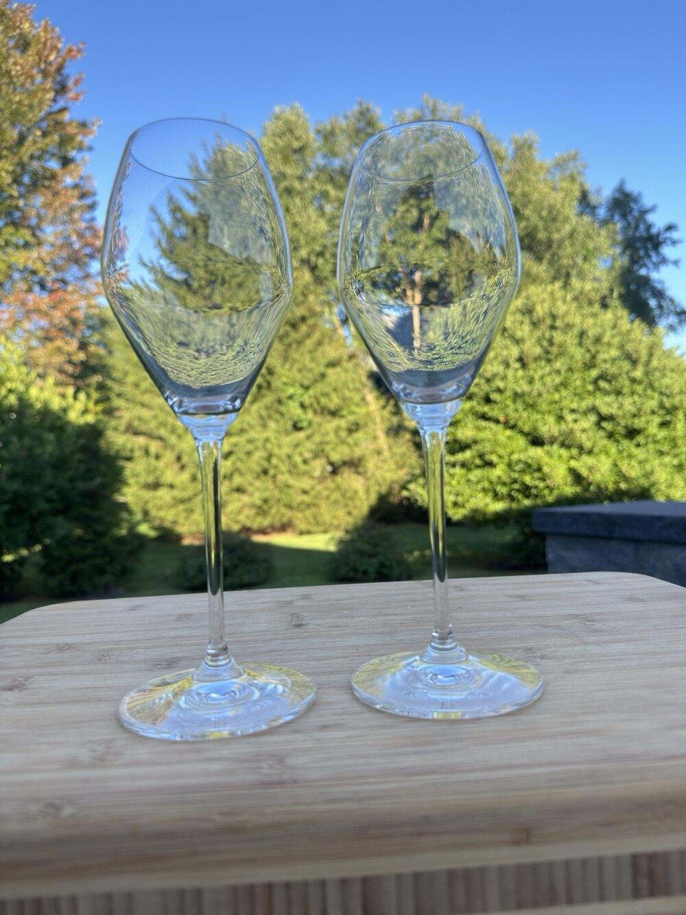 Riedel (Set of 2) 11 fl oz Extreme Rose/Champagne Glasses